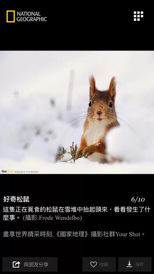 国家地理每日精选 v1.0 安卓版 0