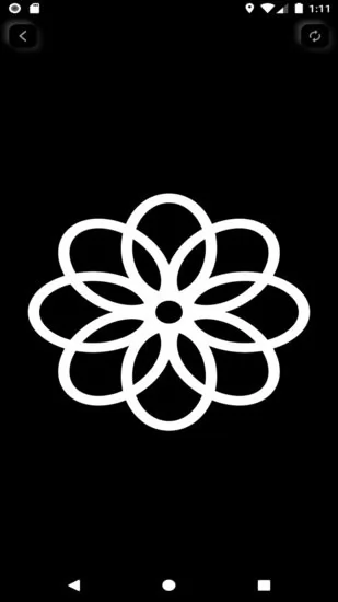 黑白视觉卡 v1.1.0 安卓版 1