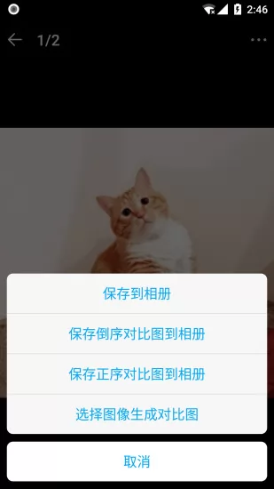 猫咪成长过程记录 v2.1.7 安卓版 2