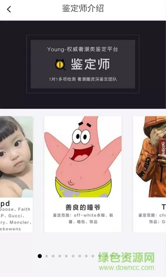 young(奢侈品鉴定) v1.0.46 安卓版 2