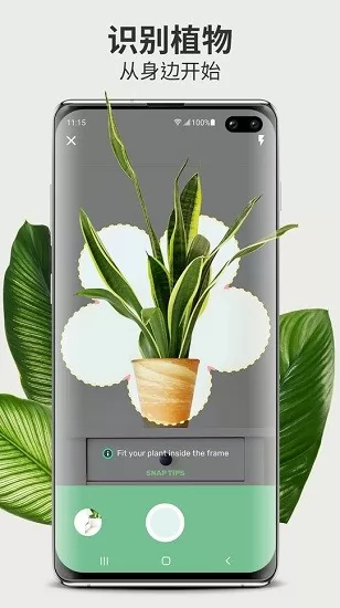 Blossom植物百科平台 v1.0.0 安卓版 1