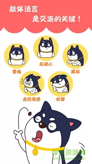 训狗养狗助手 v3.7.4 安卓版 1