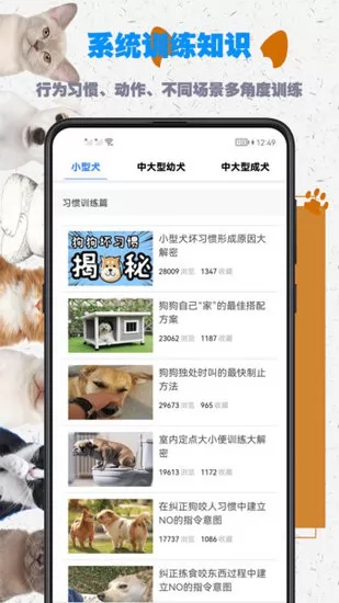 训狗教程免费下载