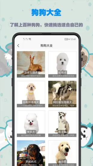 训狗教程视频大全 v1.0.0 安卓版 2