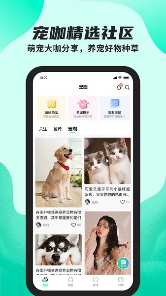 陌哈陌哈 v1.0.3 安卓版 0