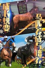 相马大师小米版 v1.0.8 安卓版 1