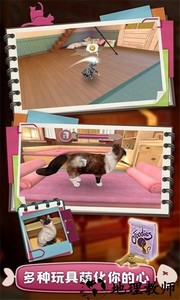 撸猫模拟器游戏 v1.1 安卓版 3
