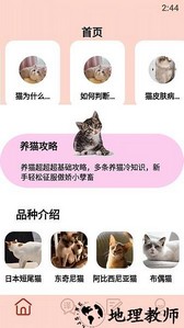 我的喵会说话软件 v1.3 安卓版 2