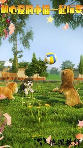 模拟猫咪最新版 v1.0.4 安卓版 2