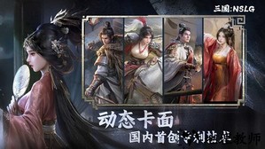 三国nslg官方版 v1.0 安卓版 0