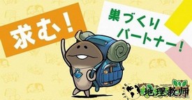 菇菇之巢(Funghisden) v1.0.0 安卓版 1