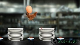 母鸡护蛋模拟器手机版 v1.0.1 安卓版 0