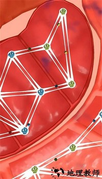 人体细胞连接手游最新版 v1.0.6 安卓版 0