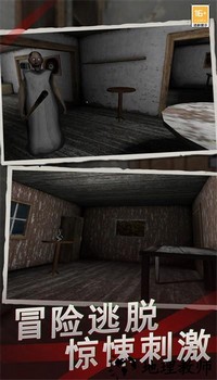 恐怖奶奶9最新版 v1.0 安卓版 0