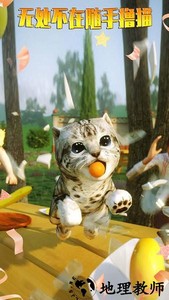 模拟猫咪最新版 v1.0.4 安卓版 1