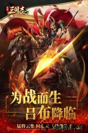 武神三国志九游版 v1.0.0 安卓版 0
