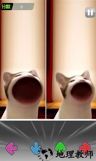 电子虚拟猫模拟最新版 v1.0 安卓版 2