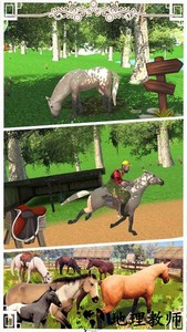 边境马术师游戏 v1.1 安卓版 2