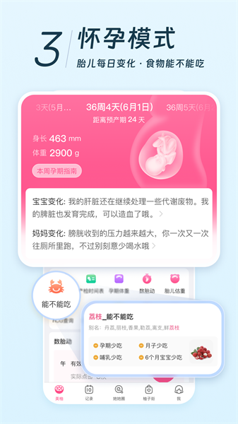 西柚app(美柚) v8.62.0.0 安卓版 3