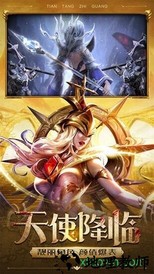 天堂之光 v1.0.12.2010 安卓版 2