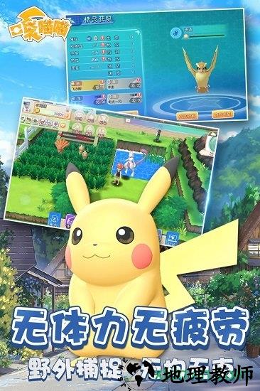 口袋喵喵手游 v1.2.2 安卓版 2