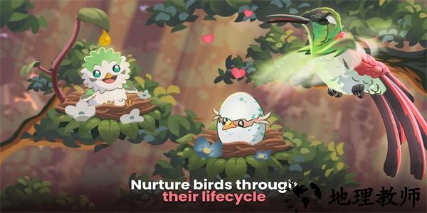 鸟类世界最新版 v0.35 安卓版 1