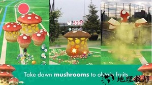 pikmin bloom中文版 v33.2 安卓版 3