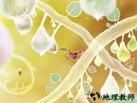 植物精灵免费版(Botanicula) v1.0.62 安卓版 0