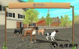 狗狗模拟ol官方版 v200 安卓版 0