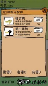 爱上我的鸭 v1.1 安卓版 1