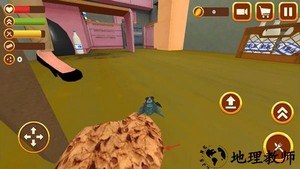 苍蝇模拟器游戏 v1.2.6 安卓版 1