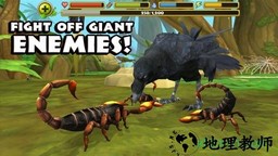 蝎子模拟器中文版(scorpion sim) v1.0 安卓版 3
