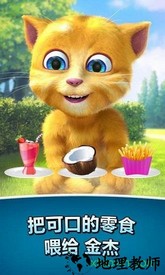 会说话的金杰猫2 v2.6.6.11 安卓版 3