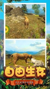 荒野猎豹模拟器手游 v1.0 安卓版 1