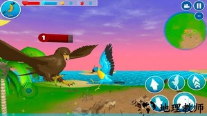 鹦鹉模拟器游戏 v1.0 安卓版 0