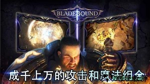 圣剑卫士中文版 v1.03.32 安卓版 0