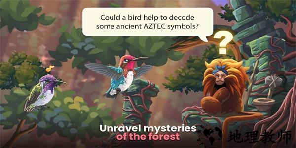 鸟类世界最新版 v0.35 安卓版 3