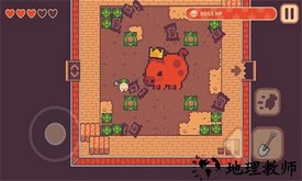 大头菜小子手游 v1.1.8 安卓版 2