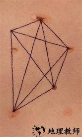 盛开的歌最新版 v1.01 安卓版 1