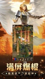 传奇2021最新版 v3.0 安卓版 0