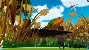 蜻蜓模拟器3d手游 v1.0 安卓版 2