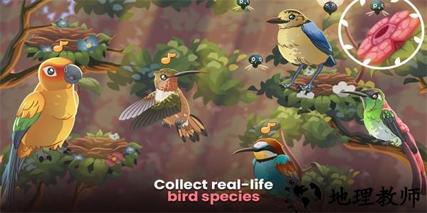 鸟类世界最新版 v0.35 安卓版 2