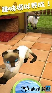 我的动物王国游戏 v1.0.1 安卓版 1