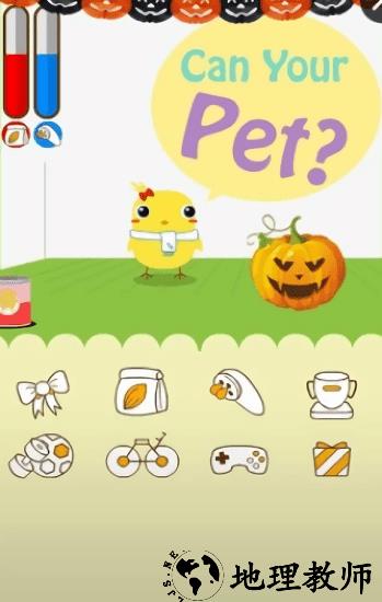 can your pet原版 v2.58.39 安卓版 1