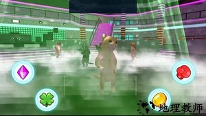 喵咪之家游戏 v1.0.1 安卓版 0