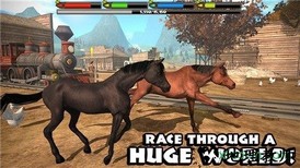 棕马模拟器手游 v1.2 安卓版 3