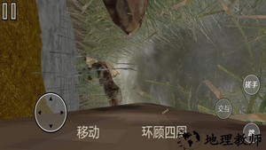 模拟苍蝇生存小游戏 v1.0 安卓版 0