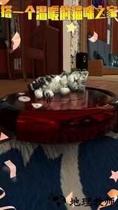 模拟猫咪最新版 v1.0.4 安卓版 3