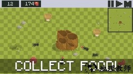 蚁群模拟器中文版 v1.4.5_1  安卓最新版 0