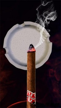 打火机模拟器游戏 v0.8 安卓版 0